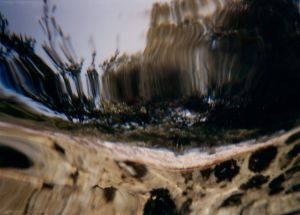 Robert Zahornicky, aus der Serie "Autopoiesis", 1988, Foto: Robert Zahornicky, Bildrecht